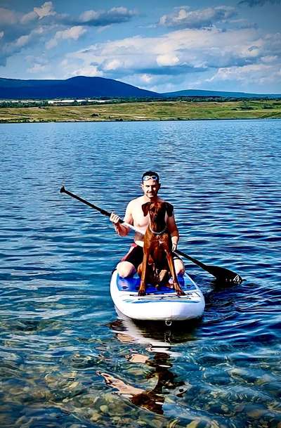 Rhodesian Ridgeback-Beitrag-Bild