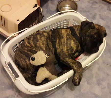 Sie werden so schnell erwachsen ...-Beitrag-Bild