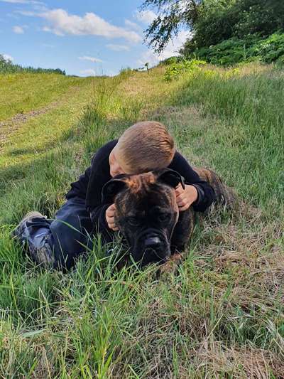 Fotochallenge Nr. 67: Euer Lieblingsbild-Beitrag-Bild