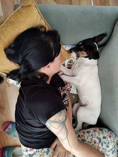 TierschutzhundeStammtisch🐕-Beitrag-Bild