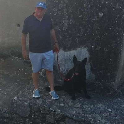 Hundetreffen-Hundetraining