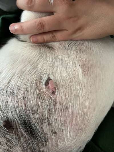 Weiß jemand was das sein könnte?-Beitrag-Bild