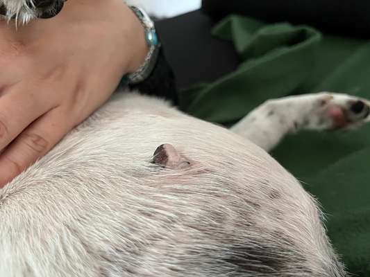 Weiß jemand was das sein könnte?-Beitrag-Bild