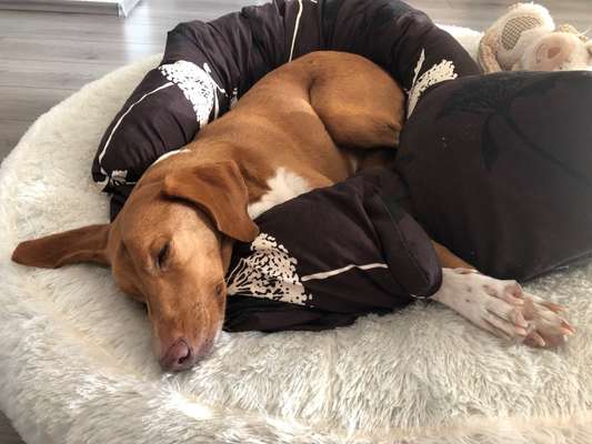 Erfahrung mit Wolkenbett-Beitrag-Bild