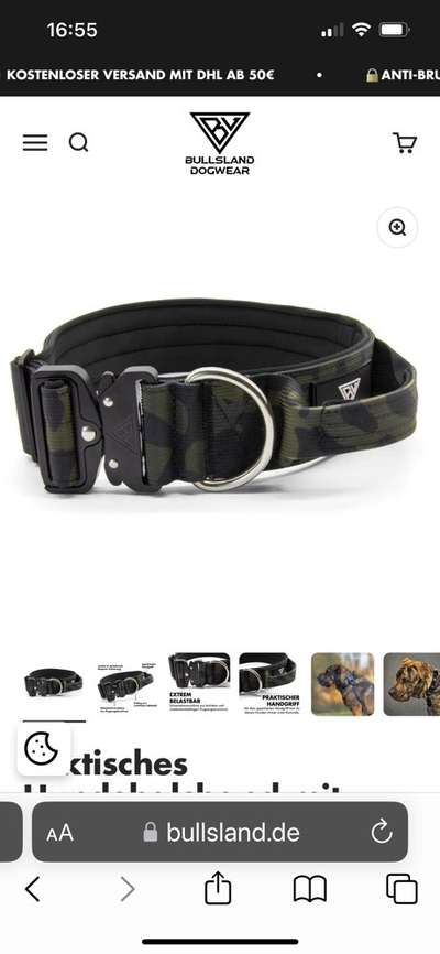 Rhodesian Ridgeback-Beitrag-Bild