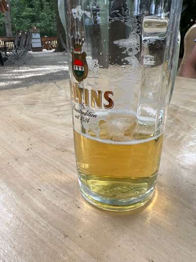 Rhodesian Ridgeback-Beitrag-Bild