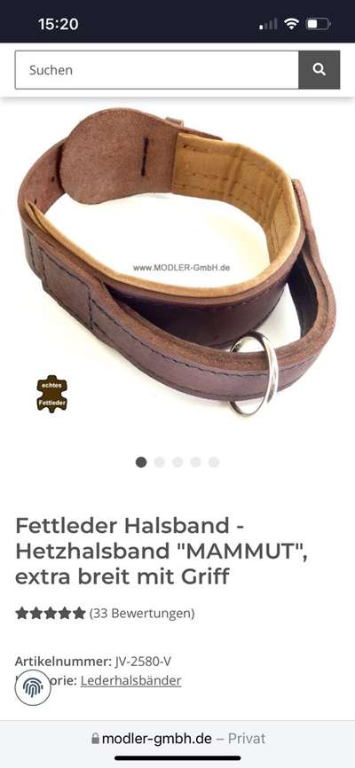 Rhodesian Ridgeback-Beitrag-Bild