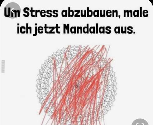 Rhodesian Ridgeback-Beitrag-Bild