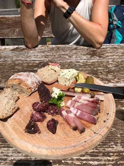 Rhodesian Ridgeback-Beitrag-Bild