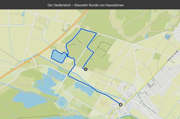 Rhodesian Ridgeback-Beitrag-Bild