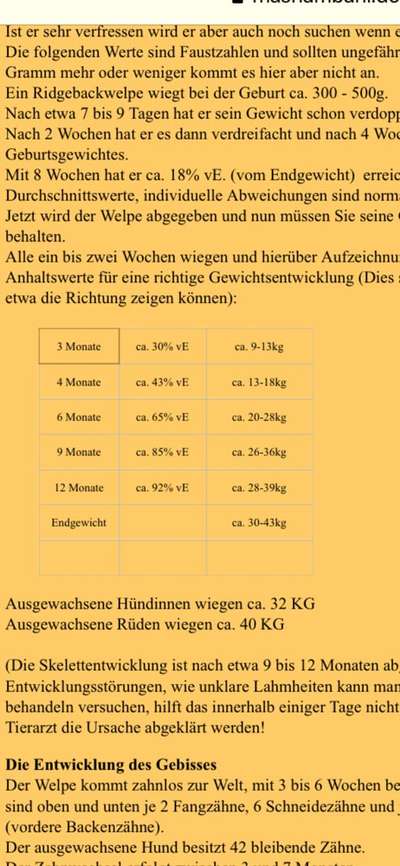 Aufzuchtfutter Große Rassen-Beitrag-Bild