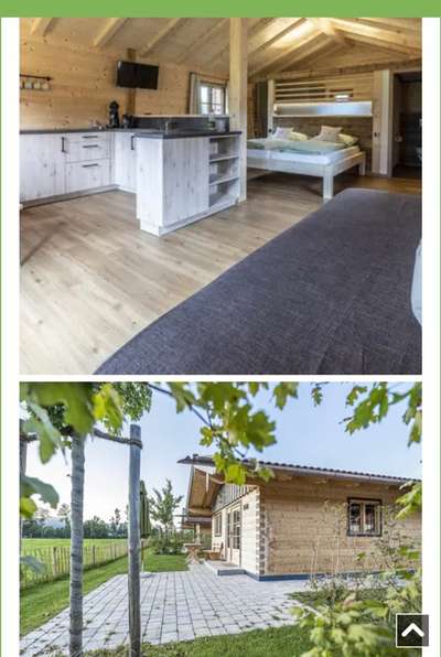 Rhodesian Ridgeback-Beitrag-Bild