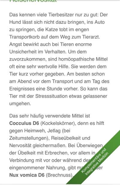 Rhodesian Ridgeback-Beitrag-Bild