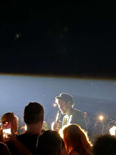 Rhodesian Ridgeback-Beitrag-Bild