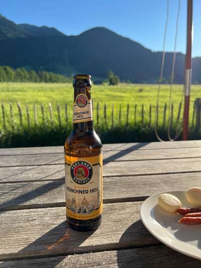 Rhodesian Ridgeback-Beitrag-Bild