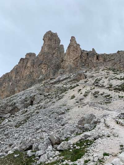 Rhodesian Ridgeback-Beitrag-Bild