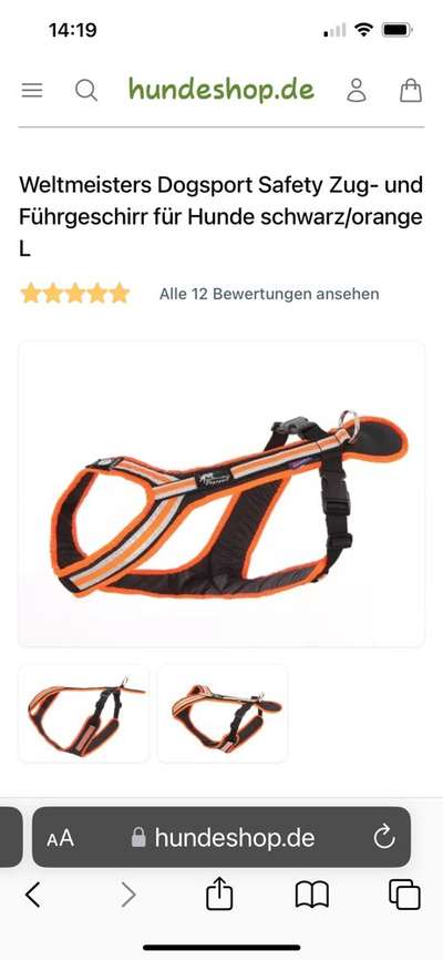 Rhodesian Ridgeback-Beitrag-Bild