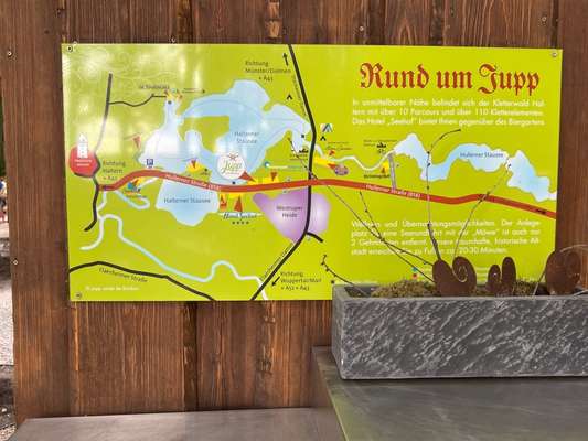 Rhodesian Ridgeback-Beitrag-Bild