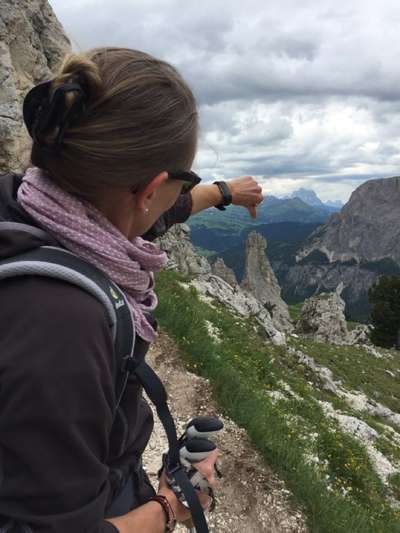 Rhodesian Ridgeback-Beitrag-Bild