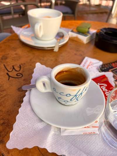 Rhodesian Ridgeback-Beitrag-Bild