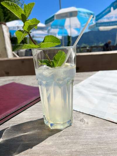 Rhodesian Ridgeback-Beitrag-Bild