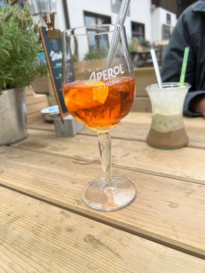 Rhodesian Ridgeback-Beitrag-Bild