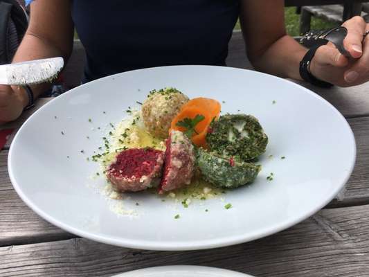 Rhodesian Ridgeback-Beitrag-Bild