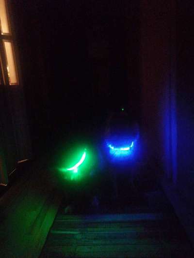 Was hat euch heute genervt?-Beitrag-Bild