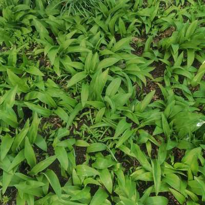 Was hat euch heute gefreut?-Beitrag-Bild