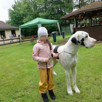 Was hat euch heute mit eurem Hund gefreut?-Beitrag-Bild