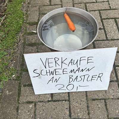 Hobby Dogging?!-Beitrag-Bild