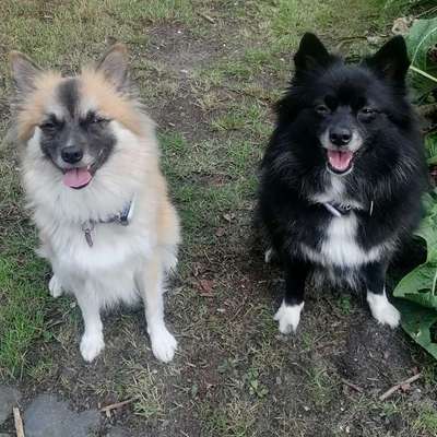 Mit oder ohne Unterfell?-Beitrag-Bild