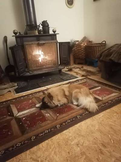 Verbrennungsgefahr Kamin?-Beitrag-Bild