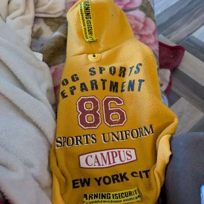 hunde jacke-Beitrag-Bild