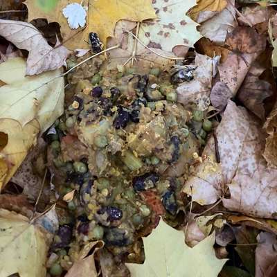 Giftköder-Achtung Suppe mit Gegenständen-Bild