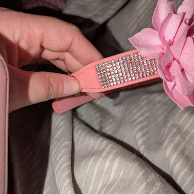 hunde halsband-Beitrag-Bild