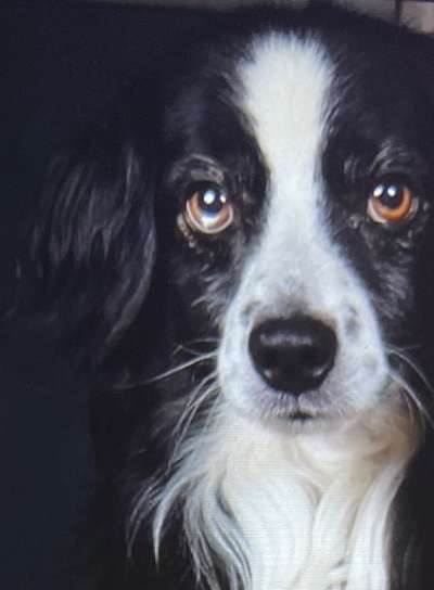 Fotochallange Nr. 57     PORTRÄT.   Beendet!!!!!!!!-Beitrag-Bild