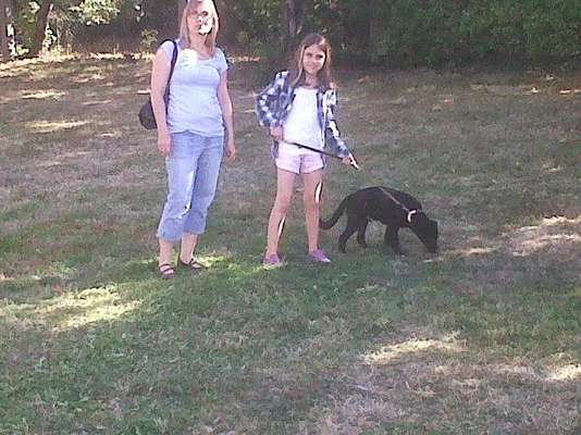 Welpen Bilder !-Beitrag-Bild