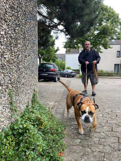 Mantrailing-Beitrag-Bild