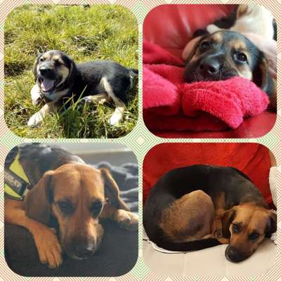 Vorher.... Nachher-Beitrag-Bild