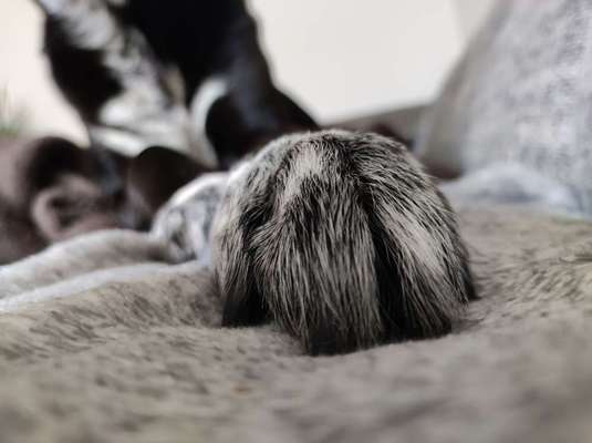 Blick fürs Detail!-Beitrag-Bild