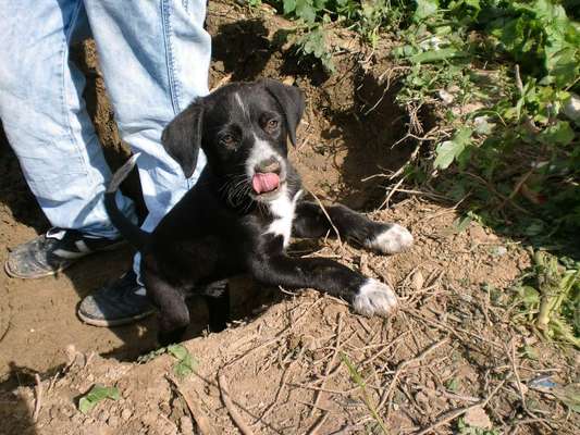 Sie werden so schnell erwachsen ...-Beitrag-Bild