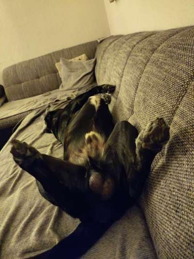 Fotochallenge Nr.65-Beitrag-Bild