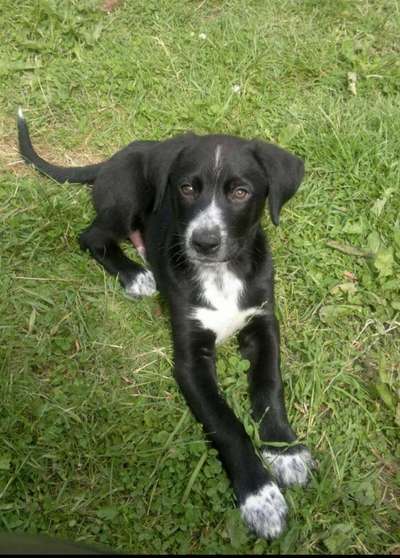 Blick fürs Detail!-Beitrag-Bild