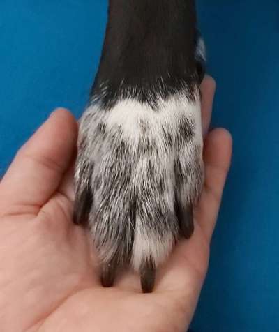 Blick fürs Detail!-Beitrag-Bild