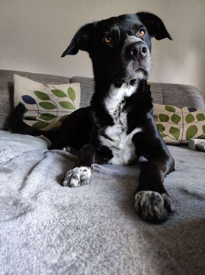 Fotochallange Nr. 57     PORTRÄT.   Beendet!!!!!!!!-Beitrag-Bild