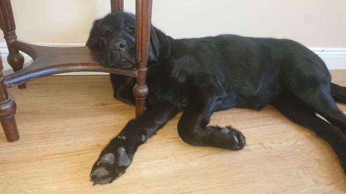 4. Lustiger Schlafplatz-Beitrag-Bild