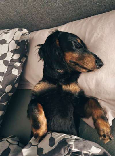 Relaxen im bett-Beitrag-Bild