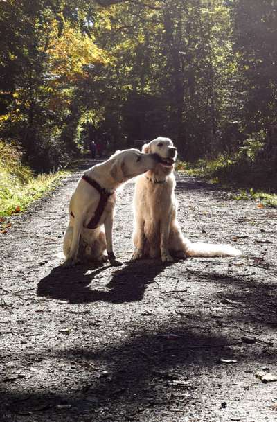 Fotochallenge Nr. 62 Romantische Momente-Beitrag-Bild