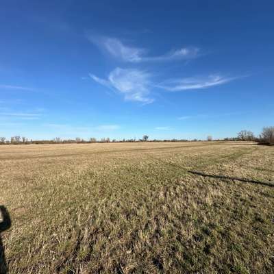 Hundeauslaufgebiet-Elbwiesen-Bild